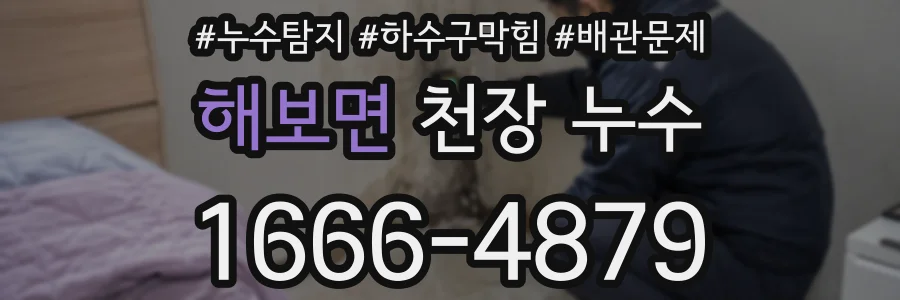 해보면 천장 누수