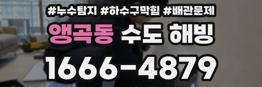 앵곡동 수도 해빙