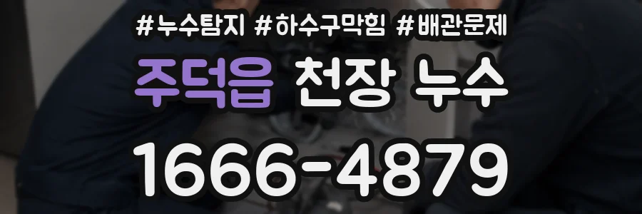 주덕읍 천장 누수