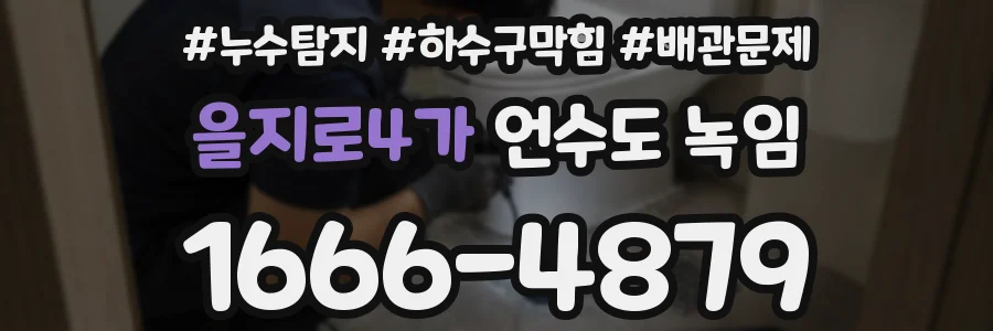 을지로4가 언수도 녹임