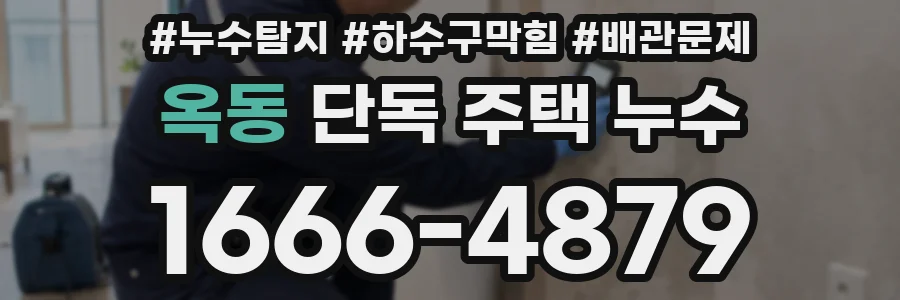 옥동 단독 주택 누수