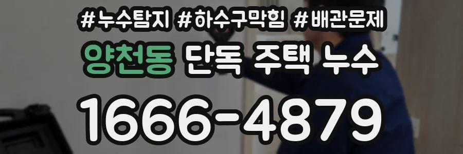 양천동 단독 주택 누수