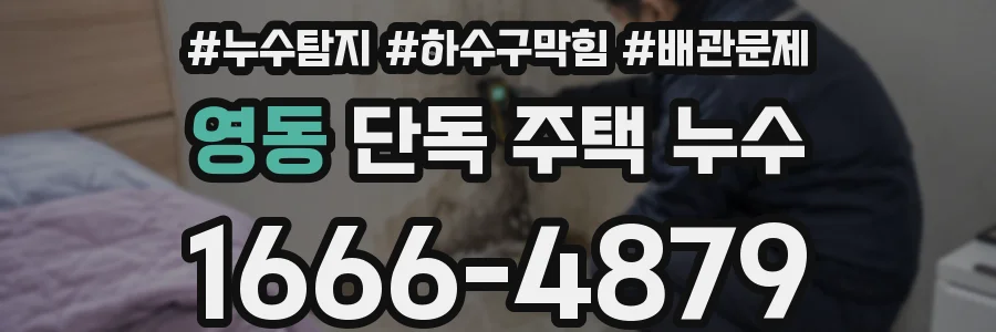 영동 단독 주택 누수