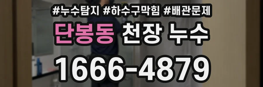 단봉동 천장 누수