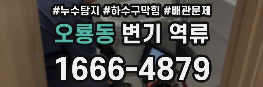 오룡동 변기 역류