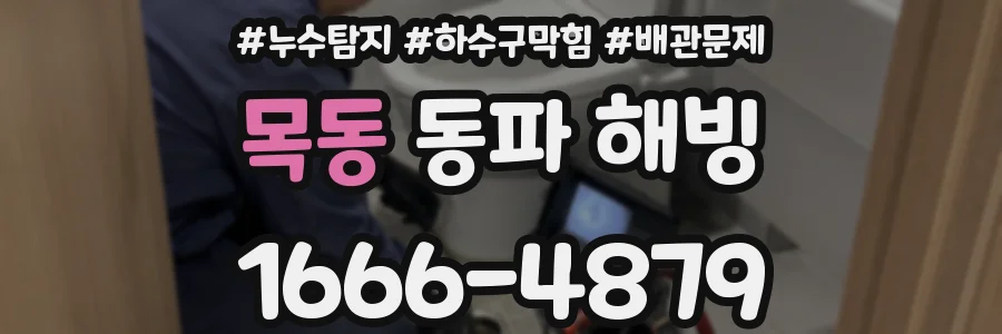 목동 동파 해빙