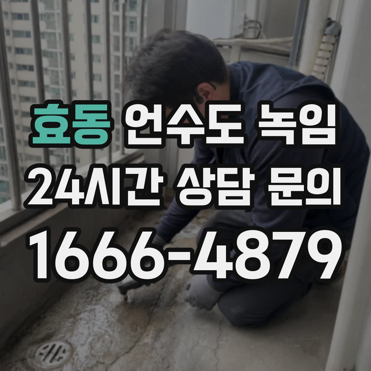 효동 언수도 녹임
