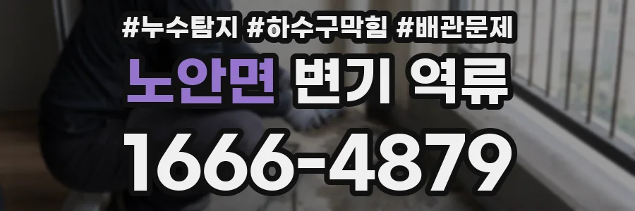 노안면 변기 역류