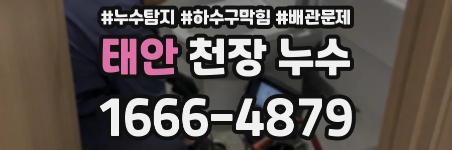 태안 천장 누수