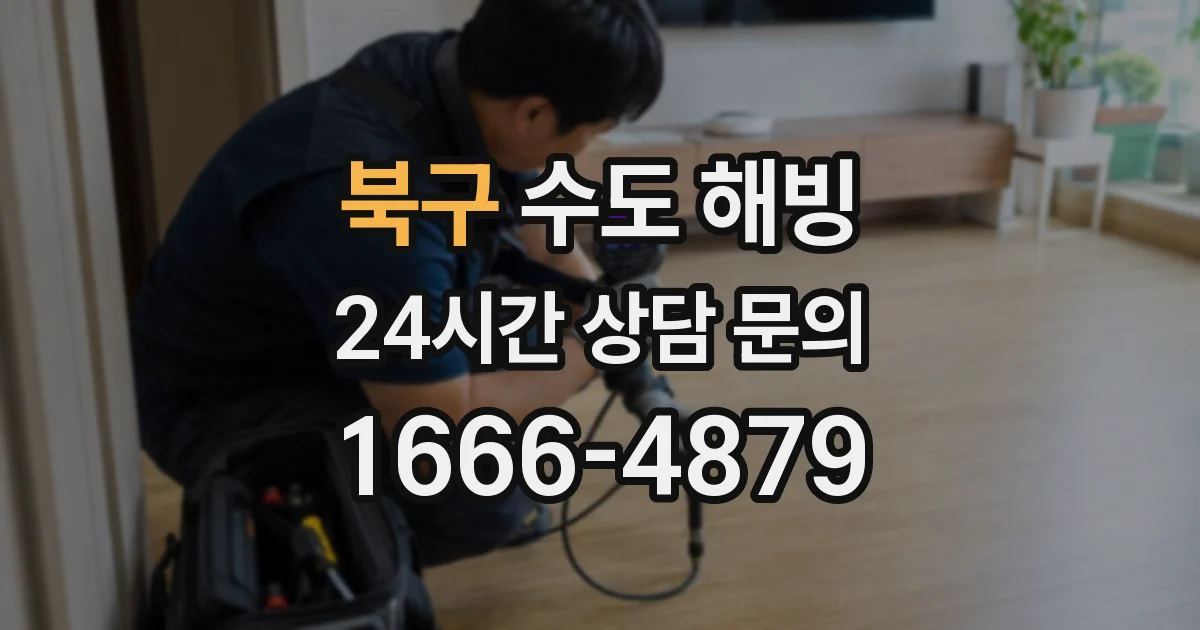 북구 수도 해빙