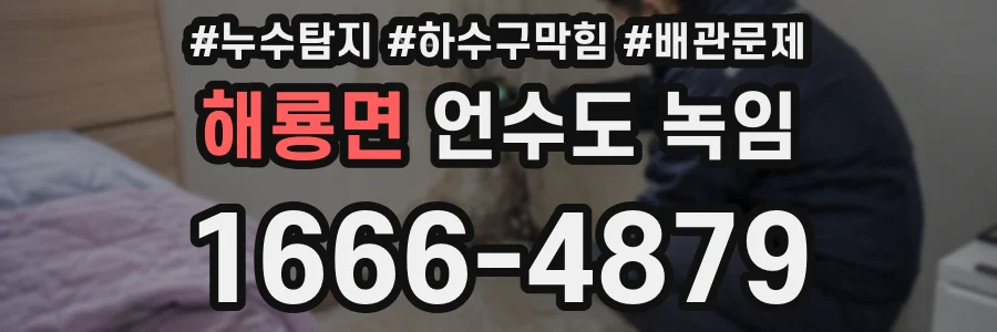 해룡면 언수도 녹임