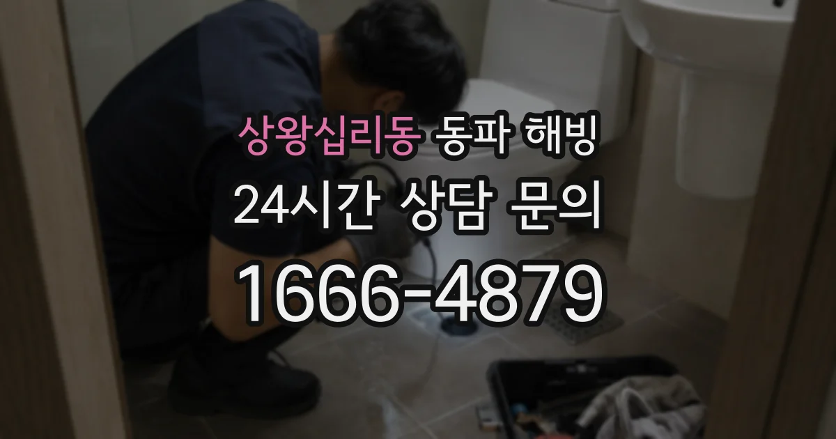 상왕십리동 동파 해빙