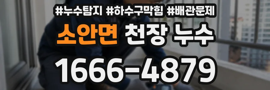 소안면 천장 누수