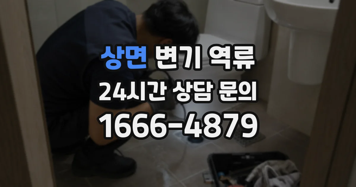 상면 변기 역류