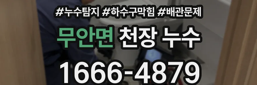 무안면 천장 누수