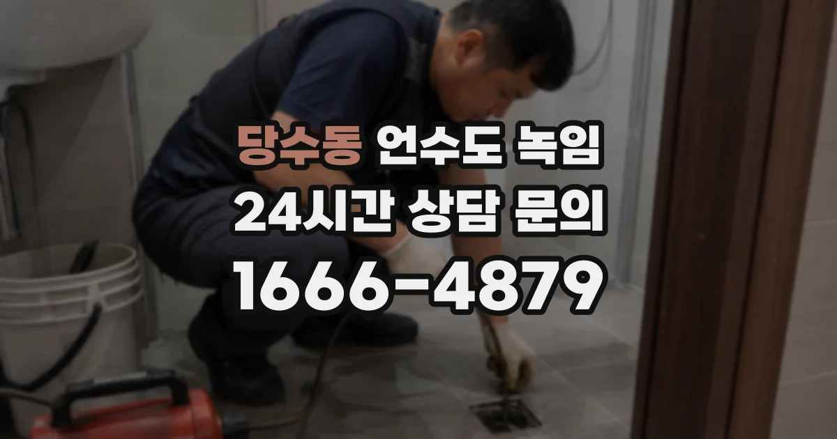 당수동 언수도 녹임