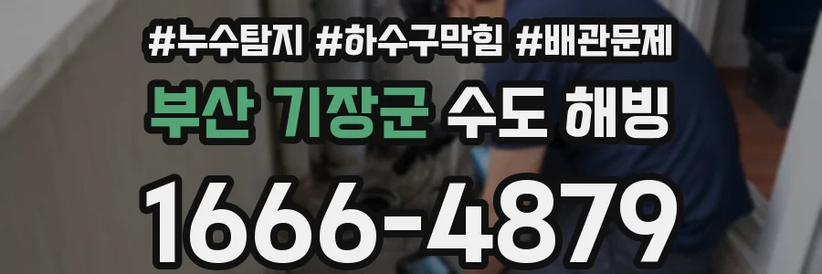 부산 기장군 수도 해빙