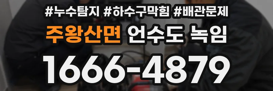 주왕산면 언수도 녹임