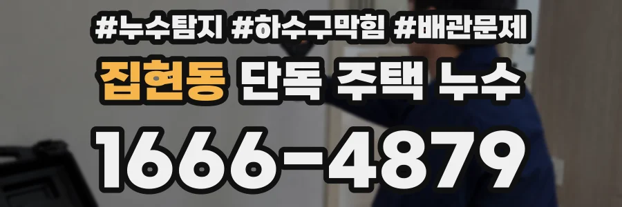 집현동 단독 주택 누수