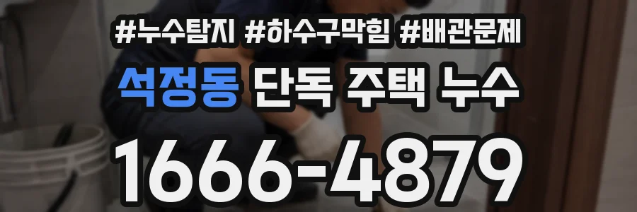 석정동 단독 주택 누수