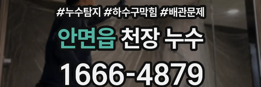 안면읍 천장 누수