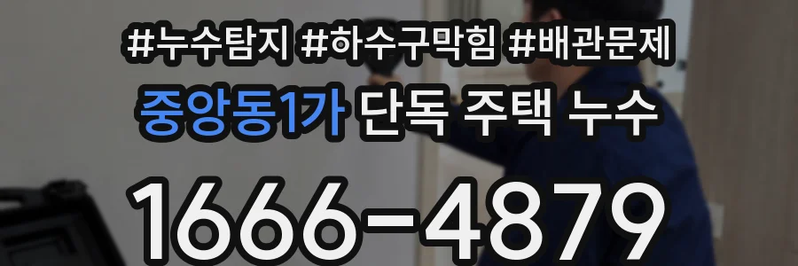중앙동1가 단독 주택 누수