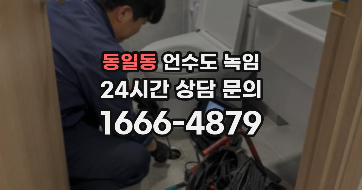 동일동 언수도 녹임