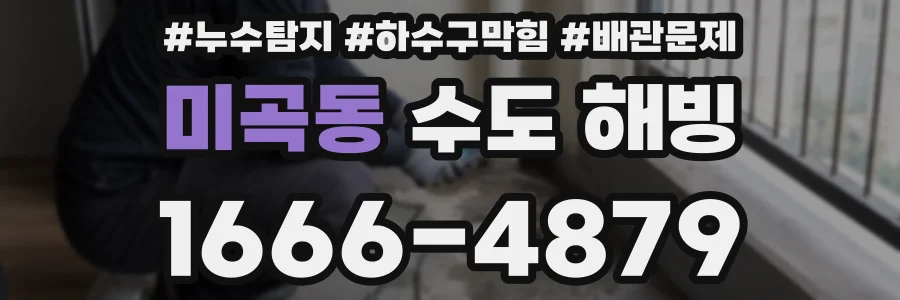 미곡동 수도 해빙