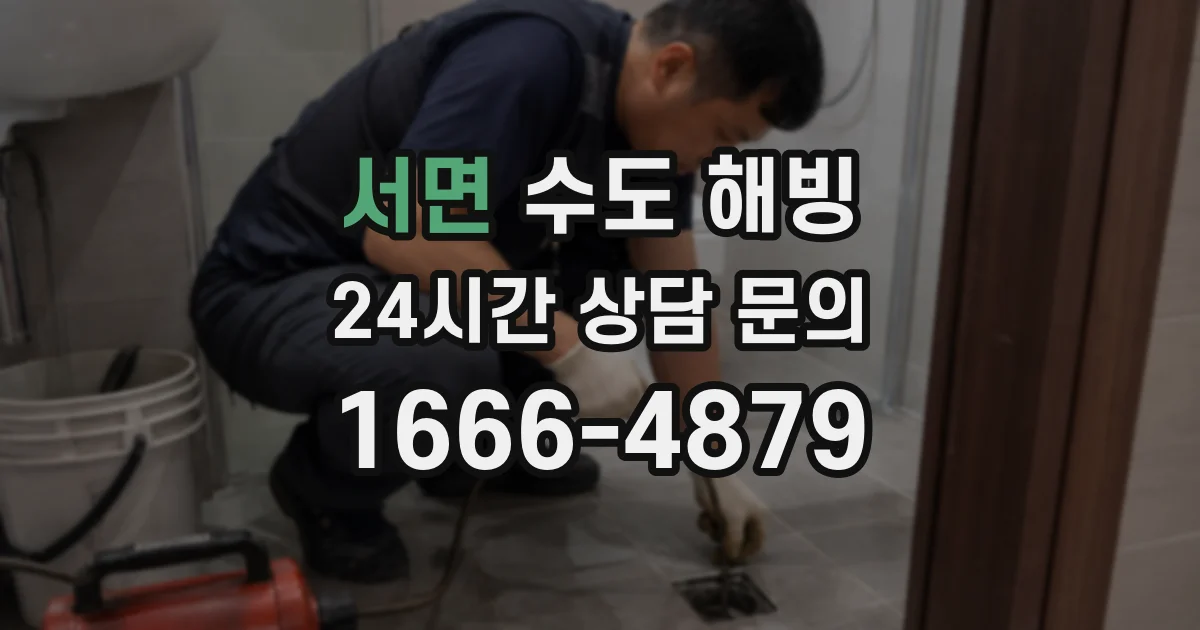 서면 수도 해빙