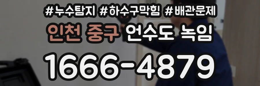 인천 중구 언수도 녹임