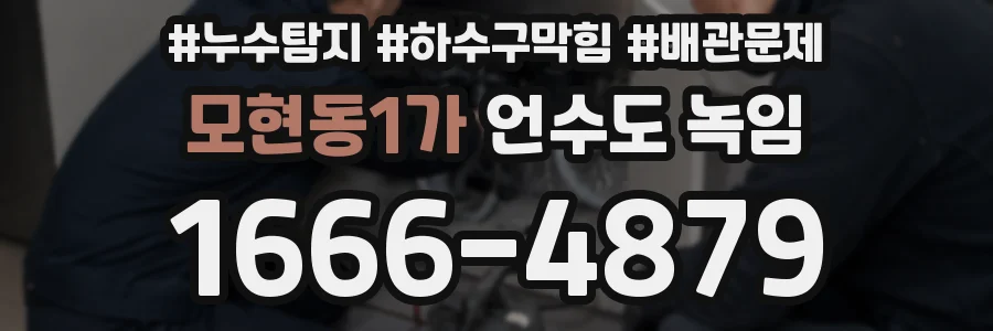모현동1가 언수도 녹임