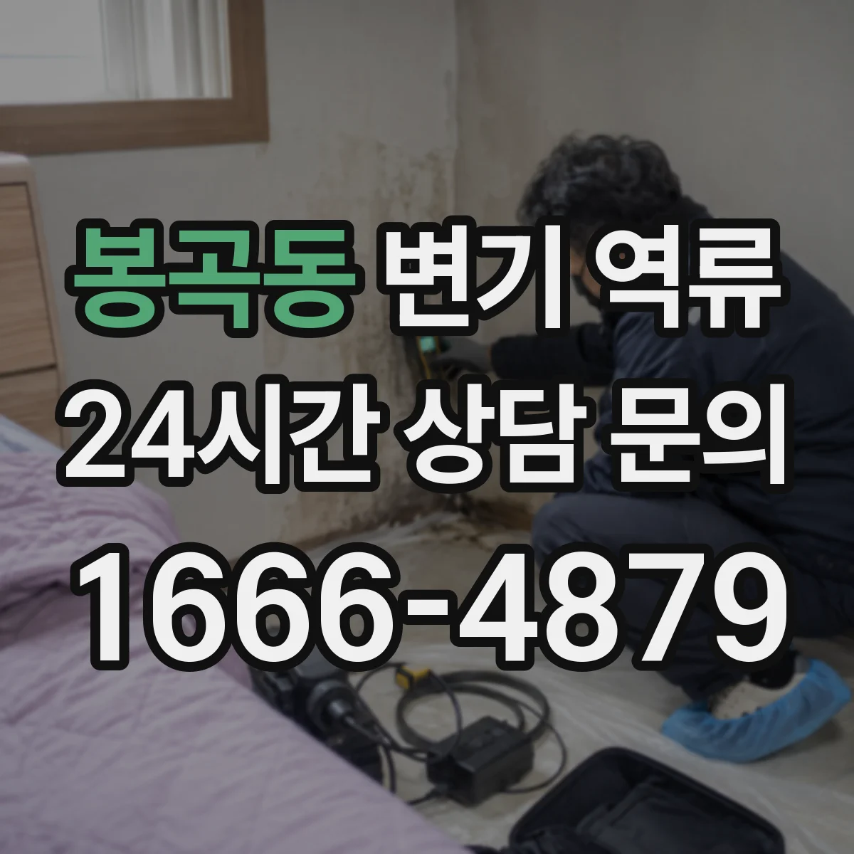 봉곡동 변기 역류