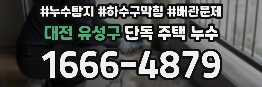 대전 유성구 단독 주택 누수