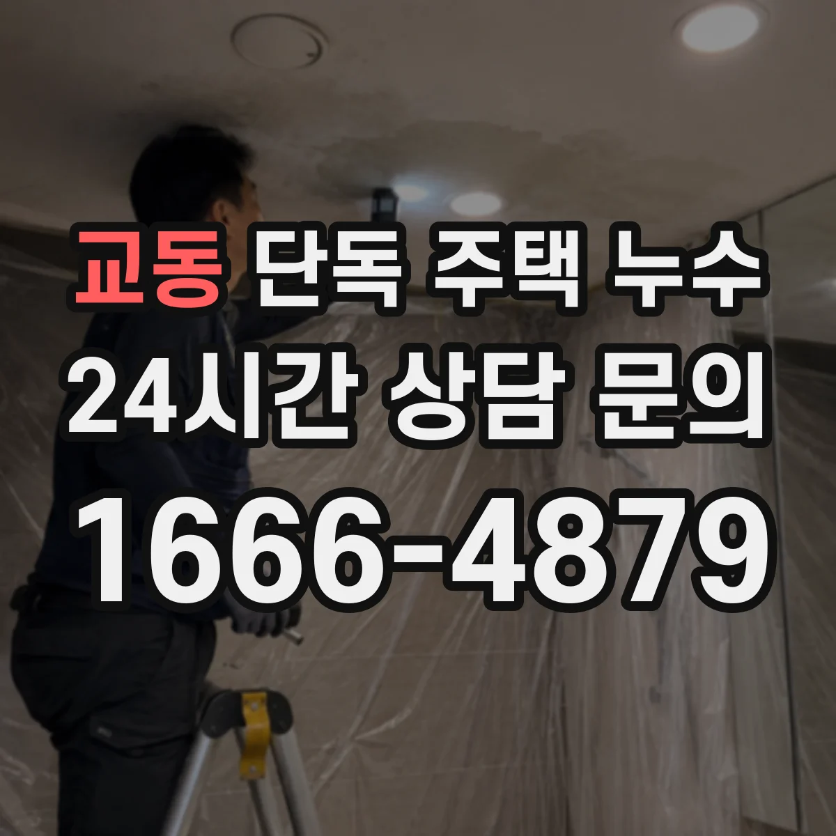 교동 단독 주택 누수