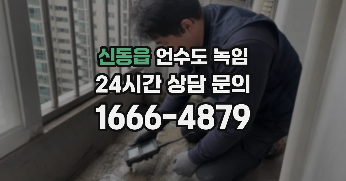 신동읍 언수도 녹임