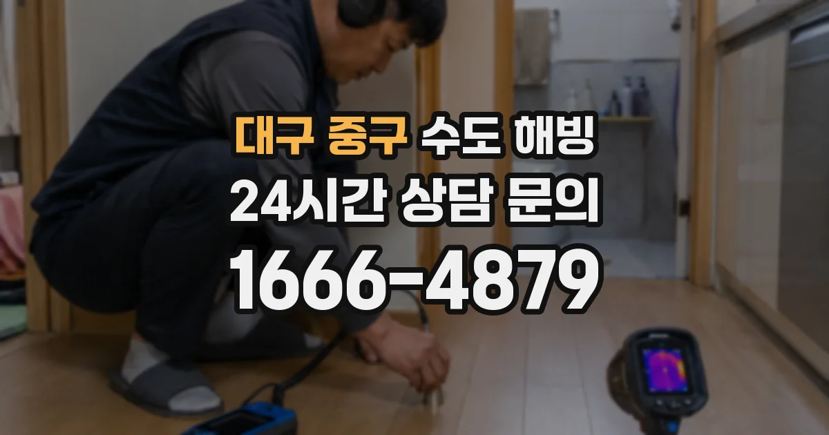 대구 중구 수도 해빙