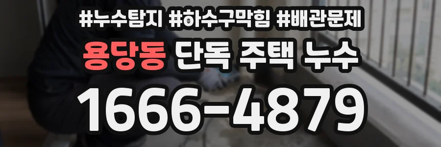 용당동 단독 주택 누수