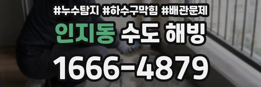 인지동 수도 해빙