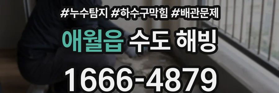 애월읍 수도 해빙
