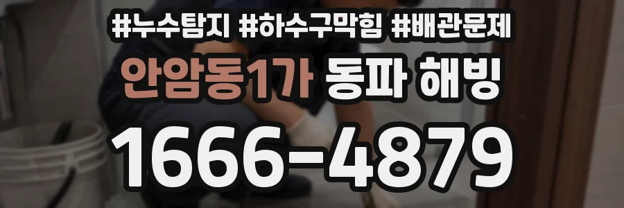 안암동1가 동파 해빙
