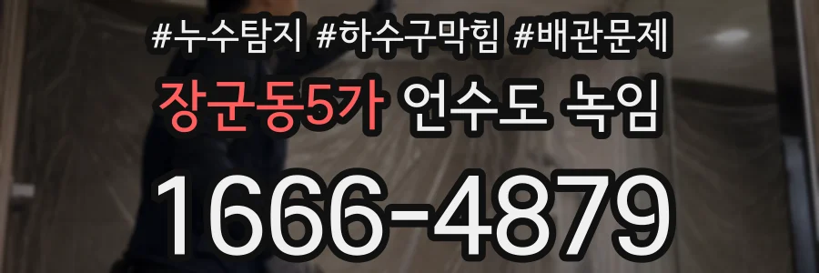 장군동5가 언수도 녹임