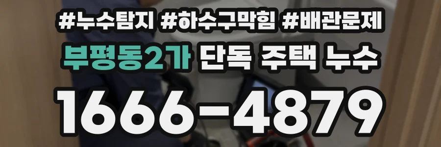 부평동2가 단독 주택 누수