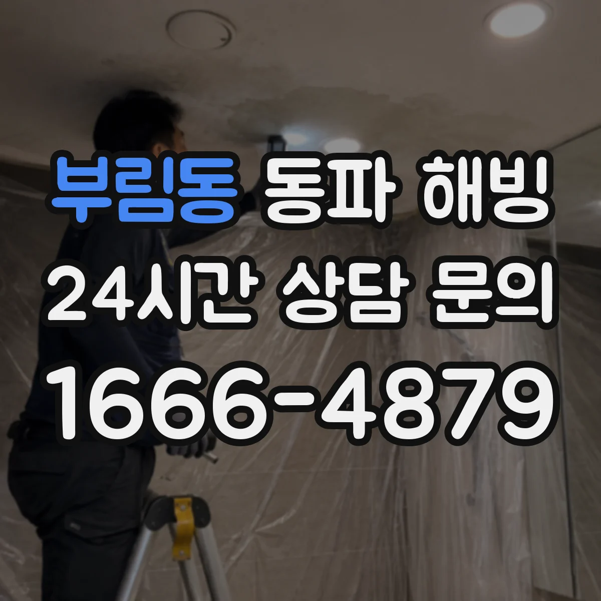 부림동 동파 해빙