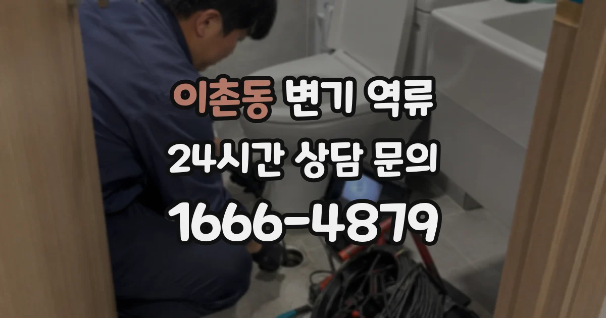이촌동 변기 역류