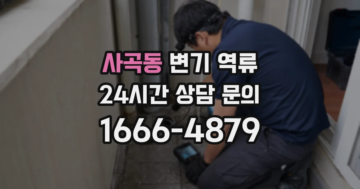 사곡동 변기 역류