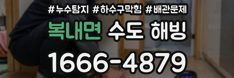 복내면 수도 해빙