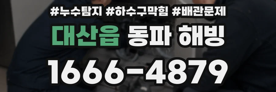 대산읍 동파 해빙