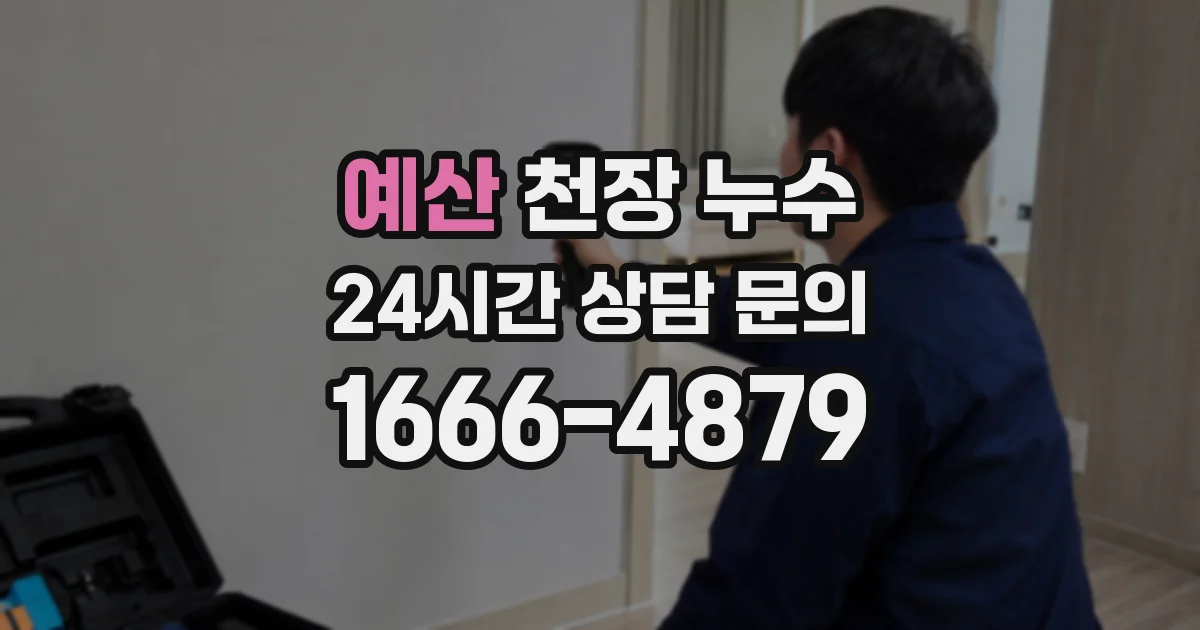예산 천장 누수