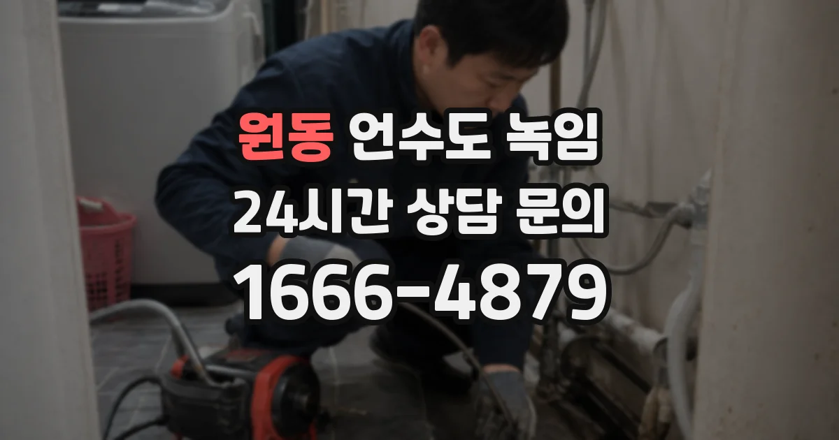 원동 언수도 녹임