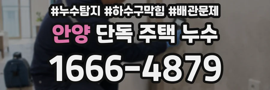 안양 단독 주택 누수